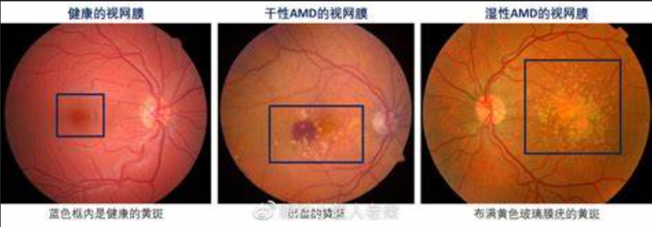 image-20220307172324873